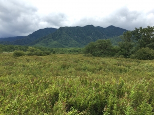 戦場ヶ原